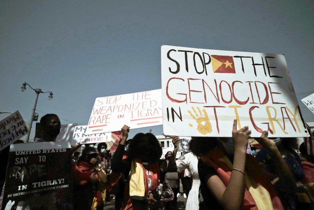 Group protest in San Francisco highlighting Tigray conflict with signs and activism.